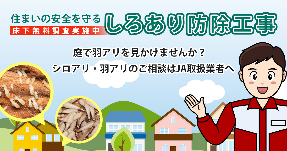 株式会社ショーエイコーポレーション