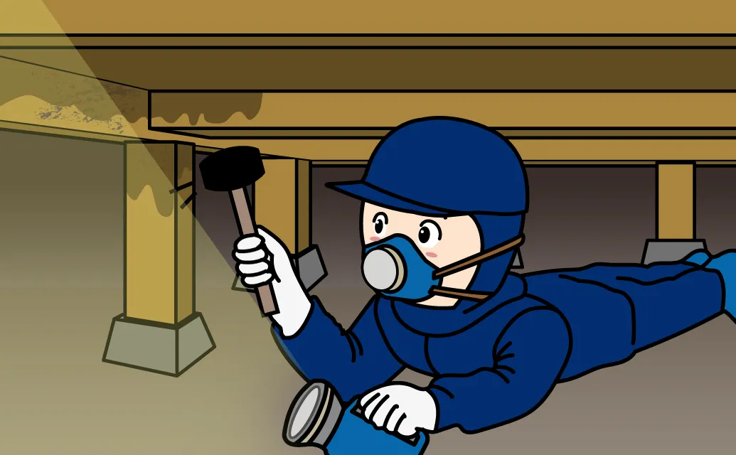 床下点検の流れ 05