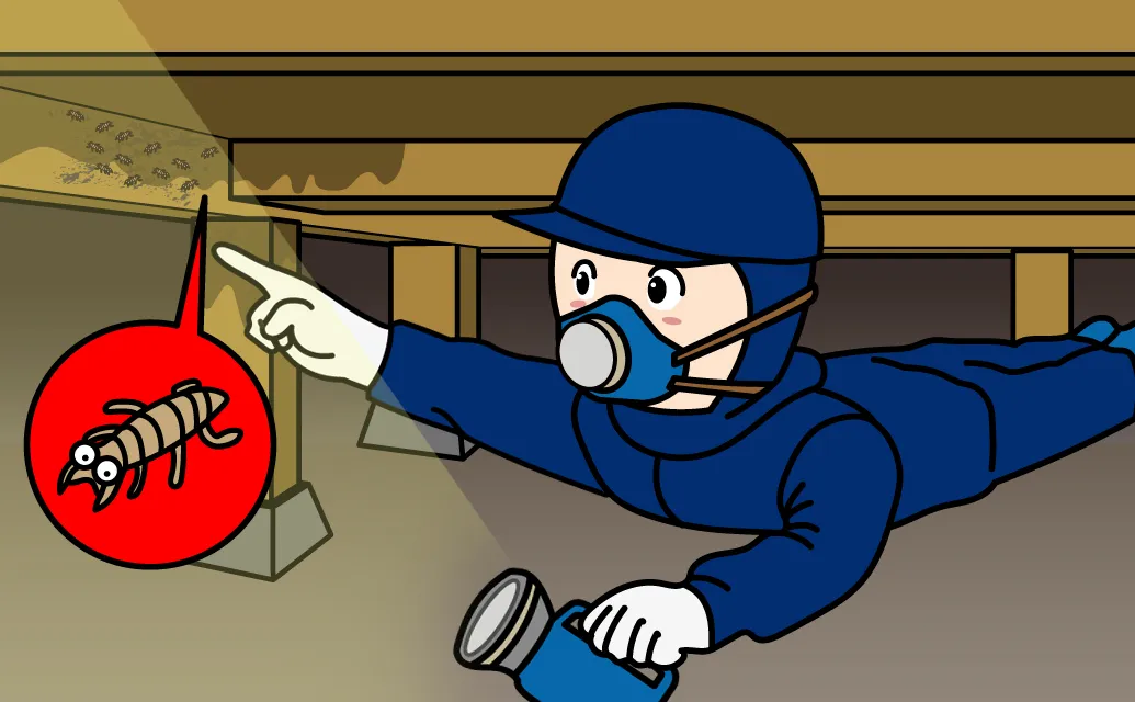 床下点検の流れ 06